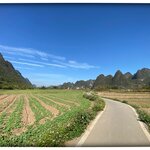 Photo taken by Fiona C