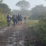 Photo taken by Stephanie A