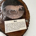 Photo taken by Cynthia C