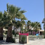 Photo taken by Sophos G