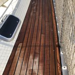 Photo taken by Janelle M