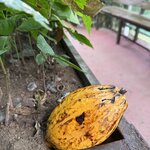 Photo taken by Dana F