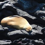 Photo taken by Steven M