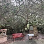 Photo taken by Brad P