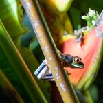 Photo taken by Jeffrey B