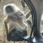 Photo taken by Jacki W