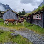 Photo taken by sybil p