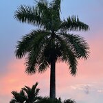 Photo taken by Chris H