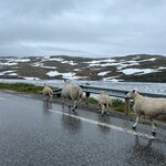 Photo taken by Sullivan S