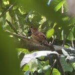 Photo taken by Kristen L