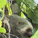 Photo taken by Morton A