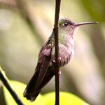 Photo taken by KLAUS A