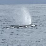 Photo taken by Walt N