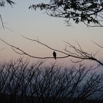 Photo taken by Wilbert A