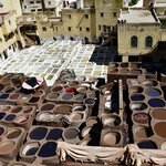 Photo taken by Indra S