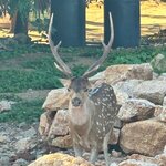 Photo taken by Bryce W