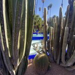 Photo taken by Lisa D