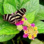 Photo taken by Mary D