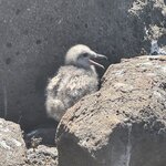 Photo taken by Thomas L