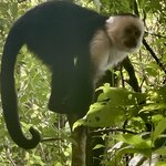 Photo taken by Alexia M