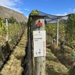 Photo taken by Don P