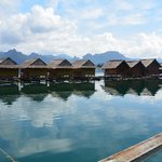 Photo taken by Brook D