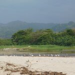 Photo taken by Brett F