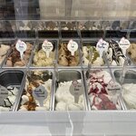 Photo taken by jane p