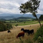 Photo taken by Miranda M