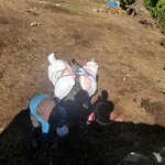 Photo taken by Gavin T