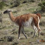 Photo taken by David & Sarah K