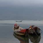 Photo taken by Anil C