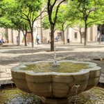 Photo taken by Jason C