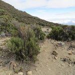 Photo taken by Kristin M