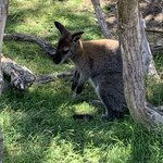 Photo taken by Julie H