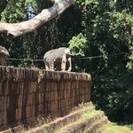 Photo taken by Kim C