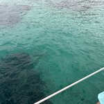 Photo taken by Stuart W