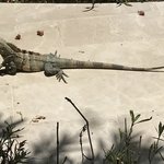 Photo taken by Khaled S