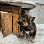 Photo taken by Caitlin P