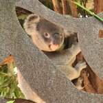 Photo taken by Maggie W