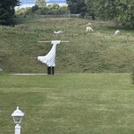 Photo taken by Wendell C