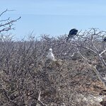 Photo taken by Nicole S