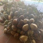 Photo taken by Ricky B