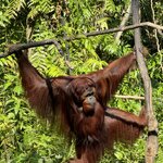 Photo taken by Kim L