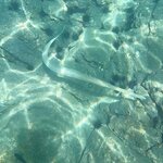 Photo taken by Jason C