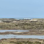 Photo taken by Monique L