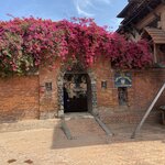 Photo taken by Wendy P