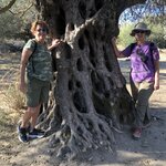 Photo taken by Lori H