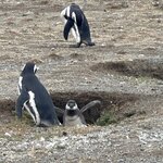 Photo taken by Pam F