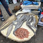 Photo taken by Paula H